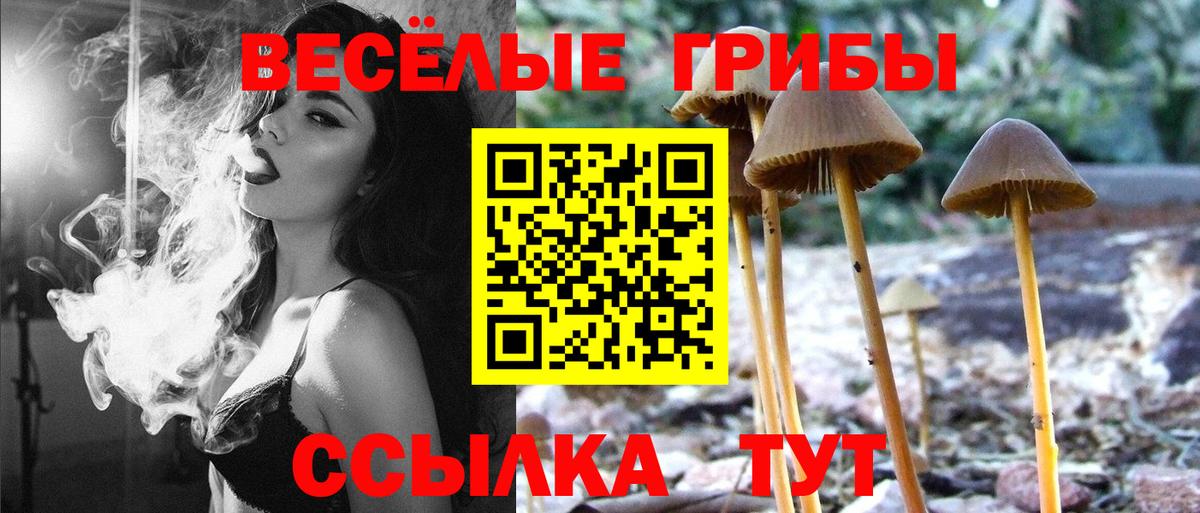  Кокаин Тулун