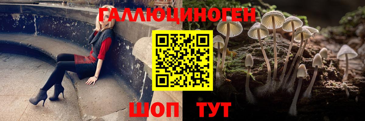 закладка  Псилоцибиновые грибы GOLDEN TEACHER  Вход с VPN  Галлюциногенные грибы Cubensis  Тулун 