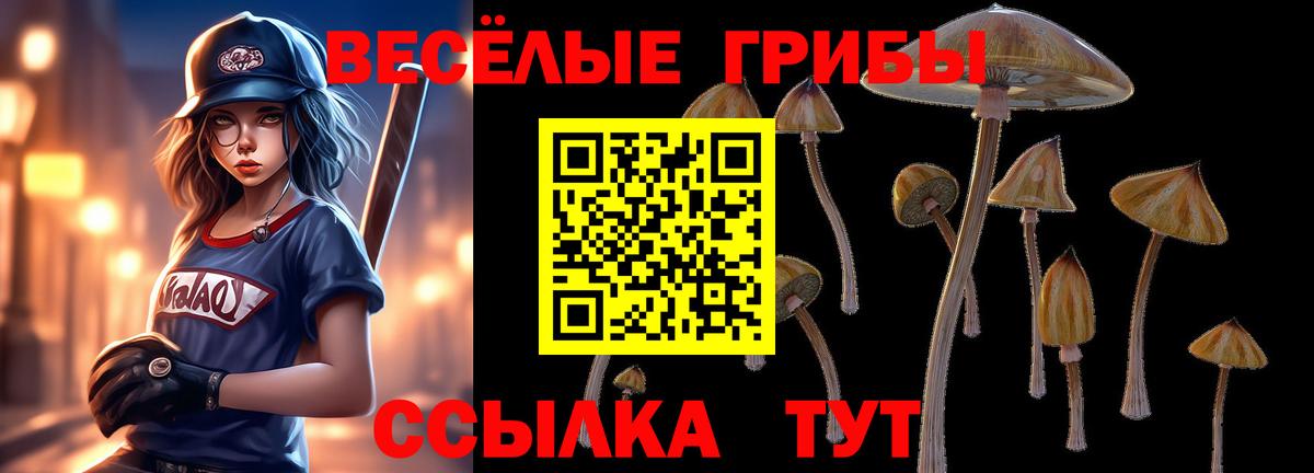 Галлюциногенные грибы мицелий Тулун